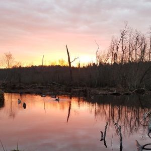 Meet your Posher, Dillon